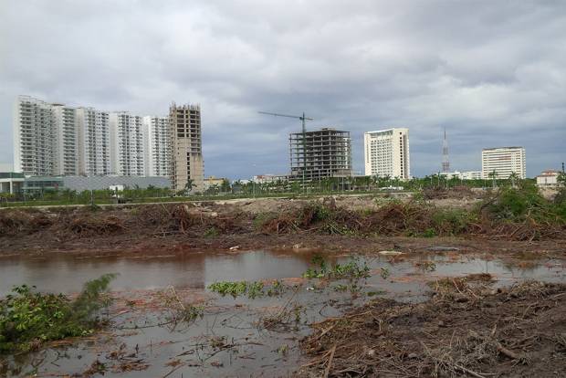 Tribunal ordena a Semarnat restaurar el manglar Tajamar
