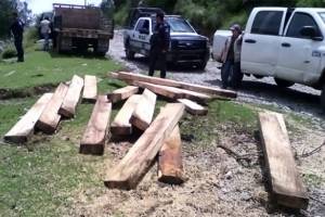 Profepa clausura centros forestales y decomisa madera del Pico de Orizaba