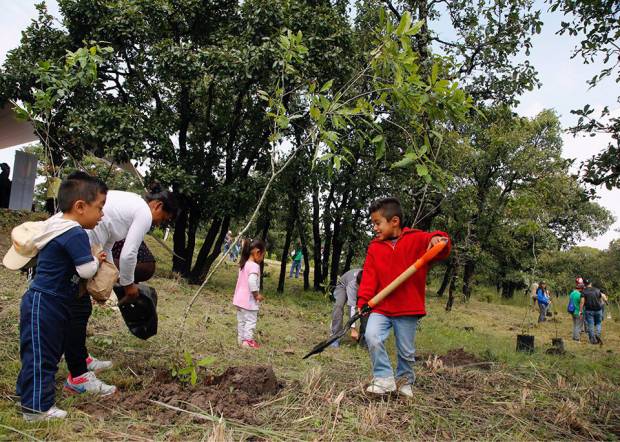 Ayuntamiento y Grupo Sadasi reforestan el Bioparque La Calera
