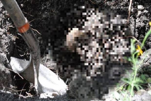 Localizaron fosa clandestina con tres cadáveres en Ciudad Serdán