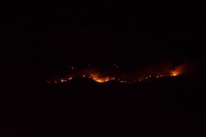 Incendios en La Malinche, provocados por pastoreo: Conafor