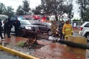 Árboles caídos y autos atrapados por fuerte lluvia en Puebla