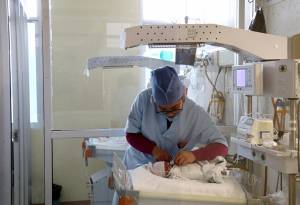 Nacieron cuatrillizas en el Hospital de la Mujer de Puebla