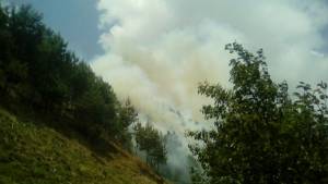 Combaten hasta 11 incendios forestales en Puebla este viernes