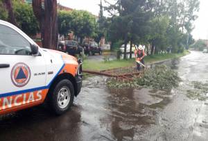 FOTOS: Calles inundadas y árbol caído dejaron lluvias en Puebla