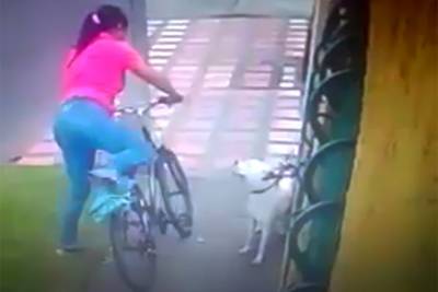 VIDEO: Mujer abandona a su perro amarrado a una ventana de Puebla