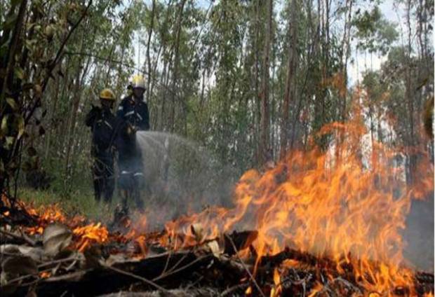 En lo que va del año Puebla registra 149 incendios forestales: Conafor