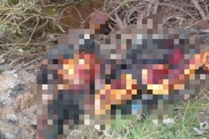 Encuentran dos cadáveres calcinados en Santa Rita Tlahuapan