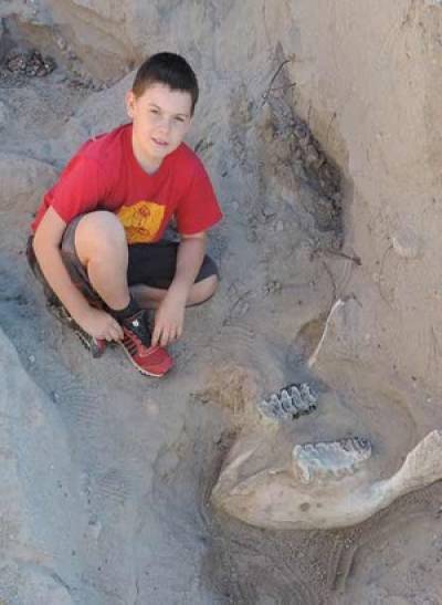 Niño halló por accidente fósil de 1.2 millones de años en Nuevo México