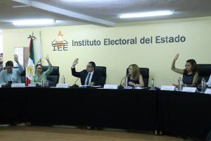 IEE Puebla cancela candidatura del PANAL al gobierno