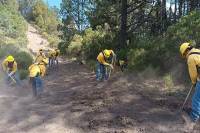 Brigadas de Medio Ambiente fortalecen acciones contra incendios forestales en Puebla