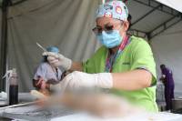SSA realiza esterilización de mascotas en Hueytamalco durante 