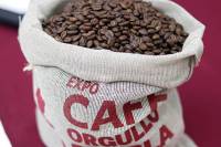Llega café poblano de especialidad de Huitzilan a 
