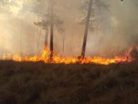 Con cuatro incendios forestales inicia Puebla el mes de abril
