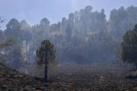 Puebla tendrá el mejor centro de monitoreo de incendios forestales del país: SMADSOT