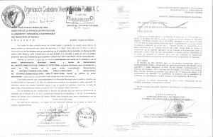 documentos-arboles-01
