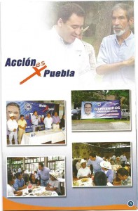 folleto-tigre-040001