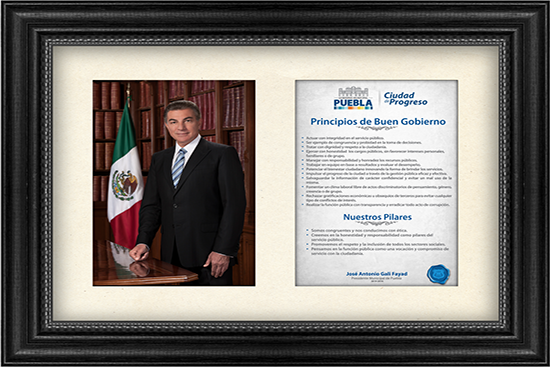 imagen-credo-tony imagen-credo-tony