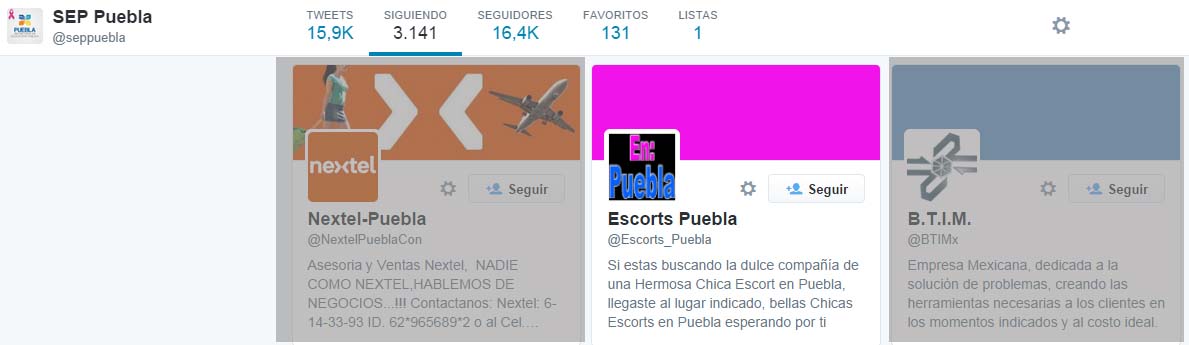 HORRORES TUITEROS (EL DIPUTADO @PRETTYWOMENS Y OTRAS HISTORIAS)