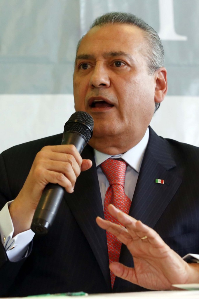 ELECCIONES . BLANCA ALCALA ELECCIONES . BLANCA ALCALA