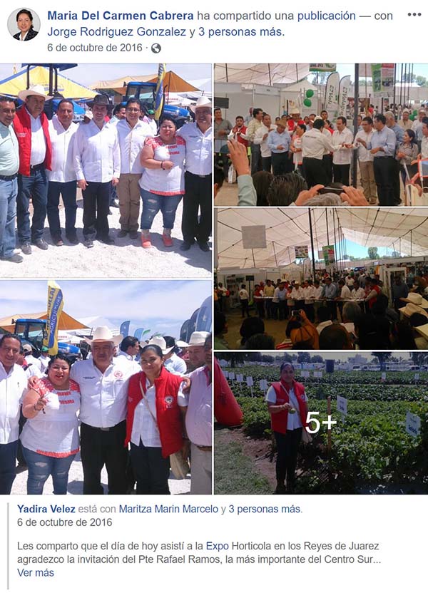 imagen-4 imagen-4