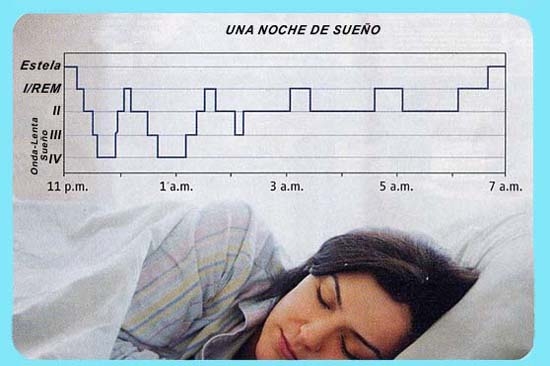 Dormir favorece el aprendizaje y la memoria