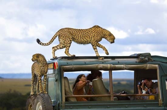 Ganadores del Concurso de Fotografía National Geographic 2013