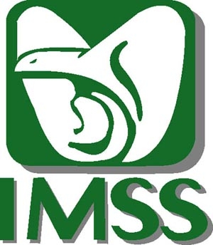 IMSS. Valor y precio