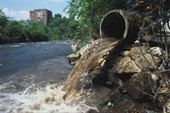 Contaminación ambiental, segunda causa de muerte en recién nacidos: OMS
