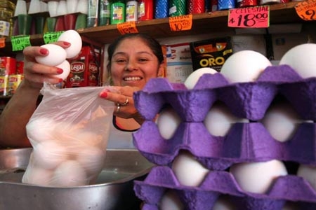 Precio del huevo registra baja paulatina, asegura la SE