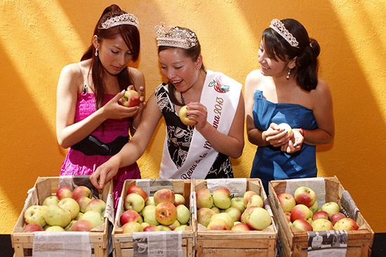 Feria de la Manzana en Soltepec, el 31 de agosto