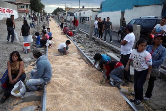 Vecinos roban maíz y trigo que tren de Ferrosur riega en Xochimehuacan