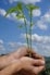 Ecologismo: profesión peligrosa