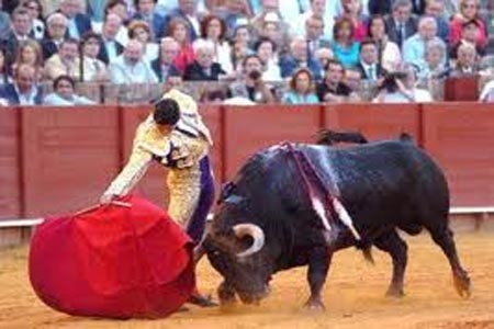 Teocelo, primer municipio de México que prohíbe las corridas de toros