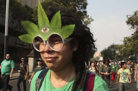 49% de mexicanos en contra de legalización de marihuana: encuesta