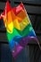 Día estatal en contra de la Homofobia