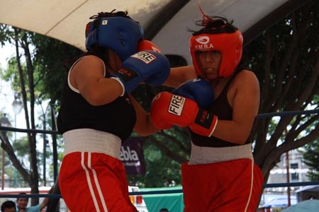 Inicia el XIV Torneo de los Barrios de Box en Analco