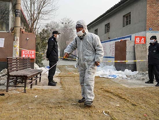 Gripe aviar: reportan primer muerto en Canadá