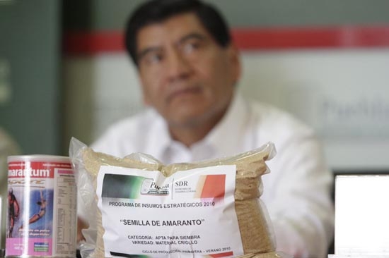 La transición “de pelos”