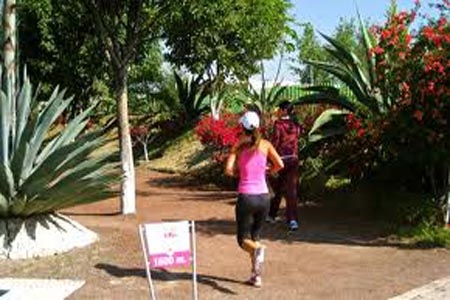Parque del Arte, usuarios exigen mantenimiento
