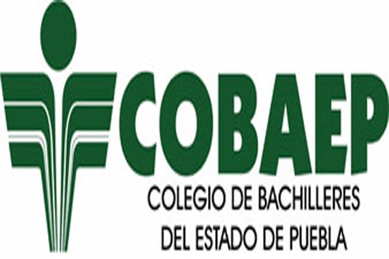 Gómez Mandujano, nuevo director del Cobaep