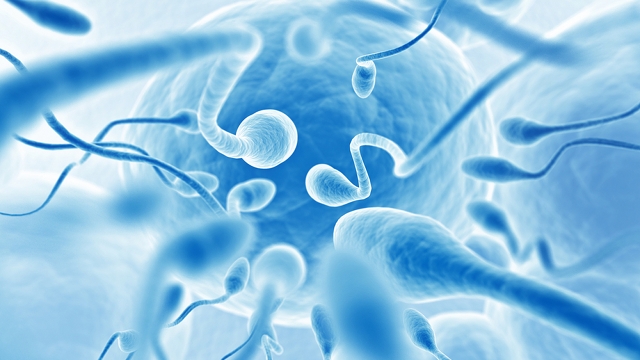 Descubre ocho propiedades del semen