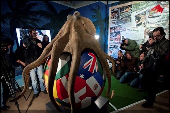 Pulpo Paul, develan monumento en Alemania