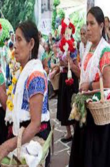 Por el reconocimiento de los pueblos indígenas
