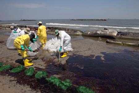 Ecocidio en el Golfo