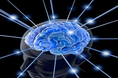 Come poco y tendrás un cerebro joven