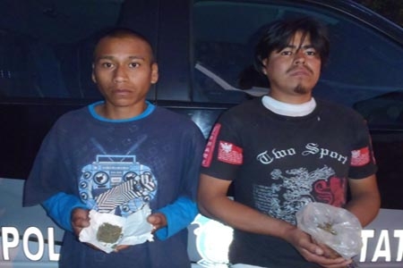 Policía Estatal detectó mil 500 plantas de marihuana en Huauchinango
