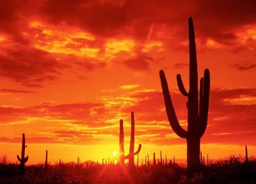 Poblana embarazada abandonada en desierto de Sonora