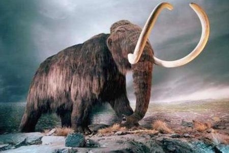 Mamut, ¿De nuevo en la tierra?