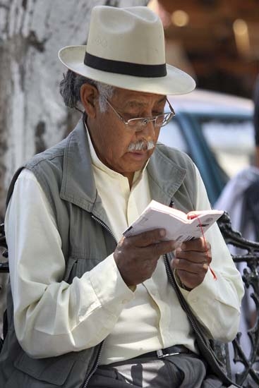 Adultos mayores: entre la negligencia y el abandono